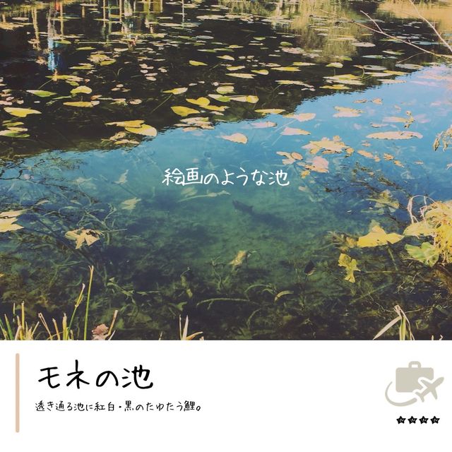まるで絵画の世界　モネの池