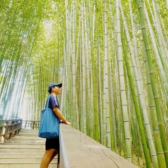 Juknokwon (Bamboo forest) trip