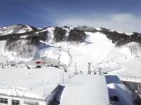 GALA YUZAWA SNOW TESORT