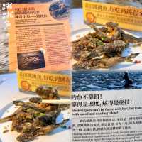 ✨初嚐跳跳魚    ✨