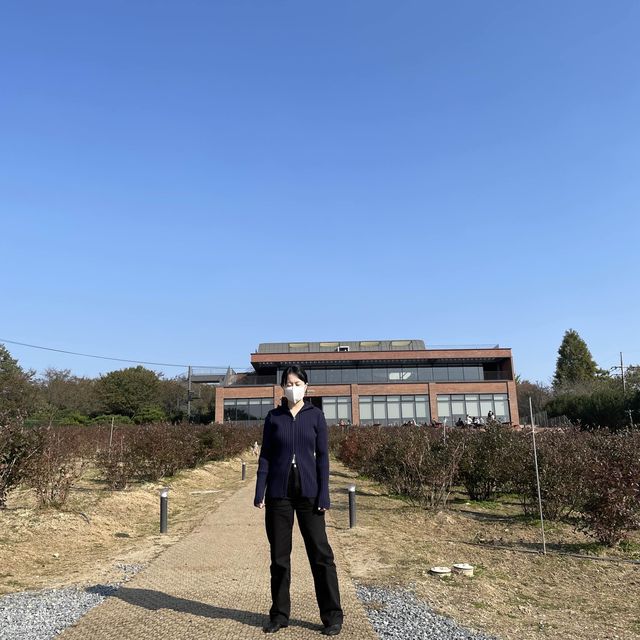 블루베리 농장으로 둘러쌓인 이천카페, 더반 올가닉
