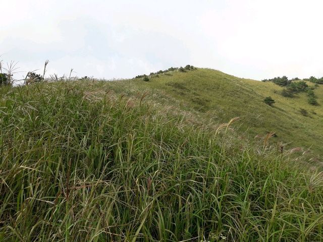제주동쪽을 대표하는 오름 - 다랑쉬오름