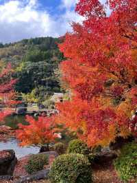 【大分紅葉】今が見ごろ🍁渓石園⛰