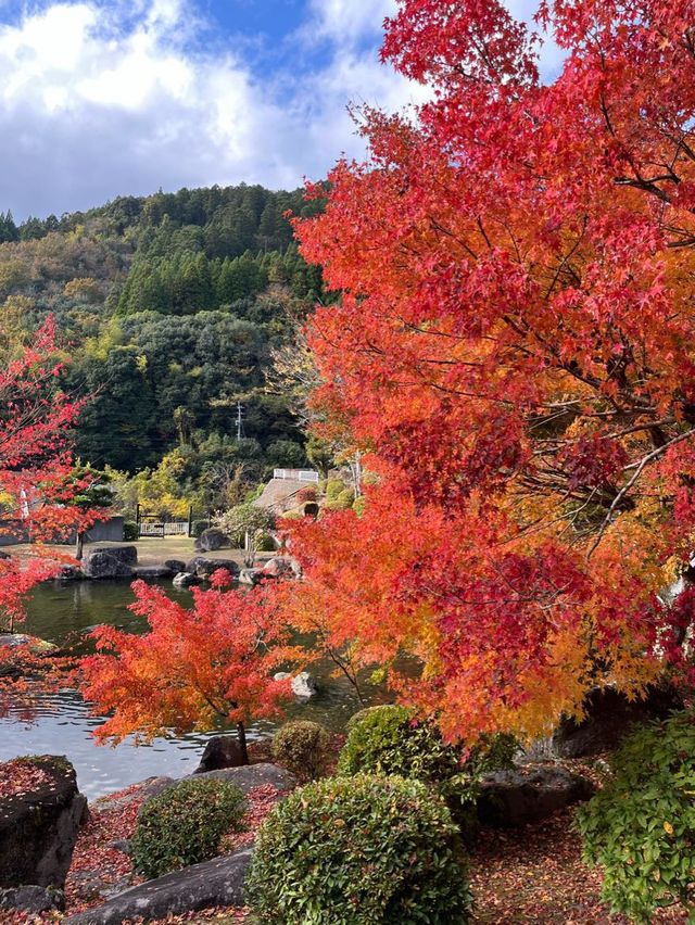 【大分紅葉】今が見ごろ🍁渓石園⛰