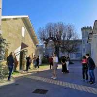 Saint Emilion Winery Tour Visit