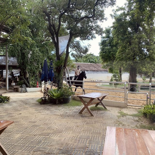 Riding Horse in Bangkok Cafe 🐎