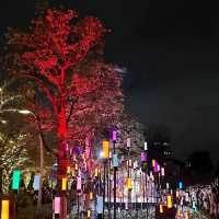 東京Midtown Garden夜間超令燈飾😍夜晚必去打卡位