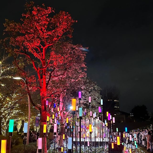 東京Midtown Garden夜間超令燈飾😍夜晚必去打卡位