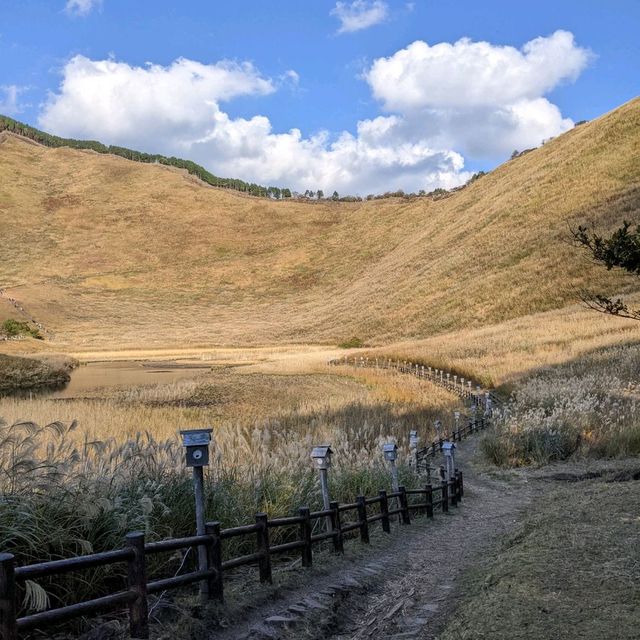 曽爾高原