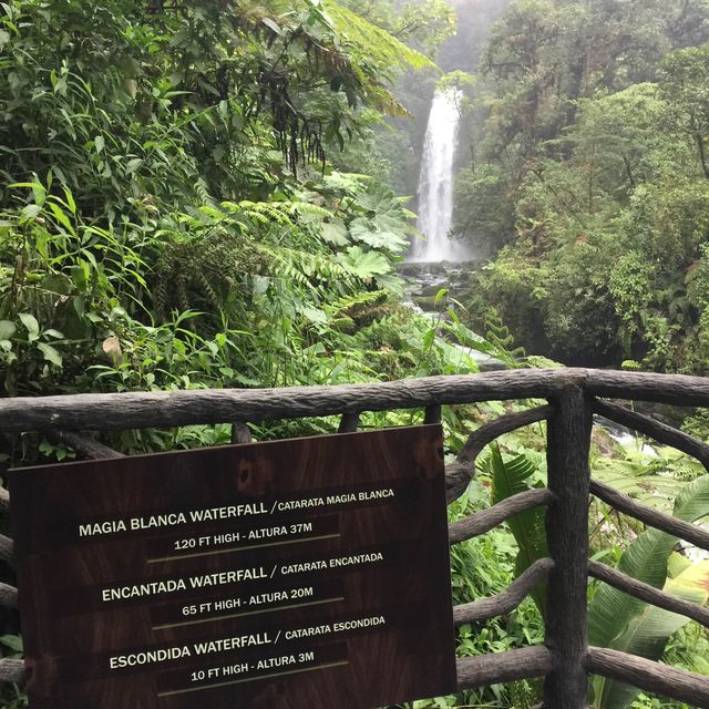 Hiking to see waterfall 