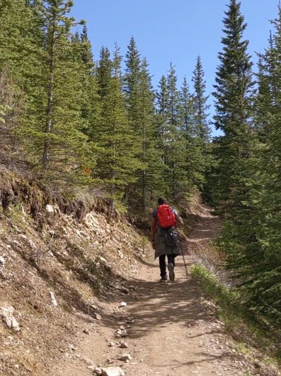 Sulphur Mountain Trail