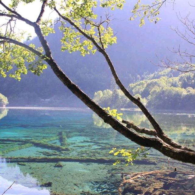 The exotic beauty of Jiuzaigou