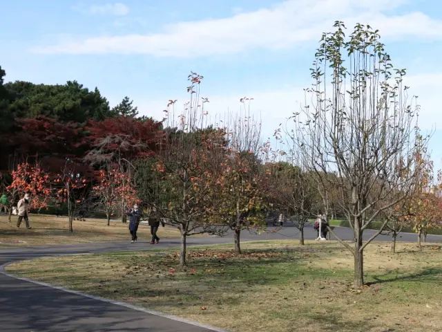 日皇的後花園 - 皇居東御苑