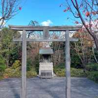 ชั้น 10 สถานี Hakata คือห้ามตกหล่น