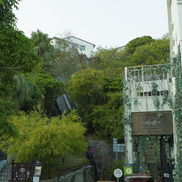 春日節目之小眾文青好去處 