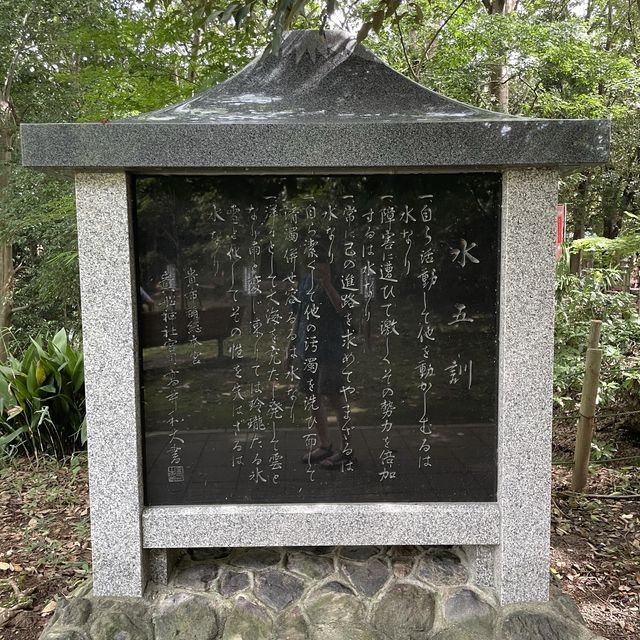 【清水町】柿田川公園