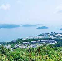 尖削如錐的鷓鴣山