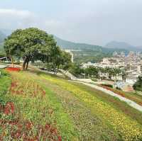 台北三層崎公園花海