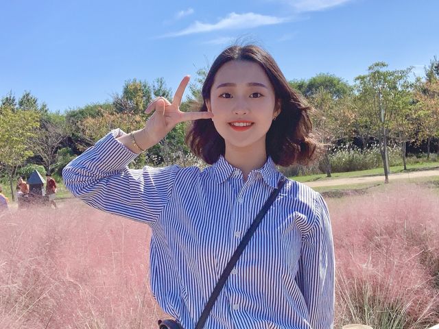 [🇰🇷, 부산] 핑크뮬리 인생샷은 부산 을숙도에서 💕