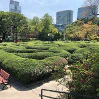 Kowloon Park. 