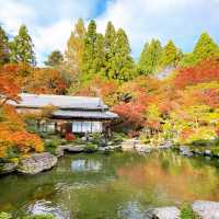 【紅葉巡り】湖東三山 百済寺