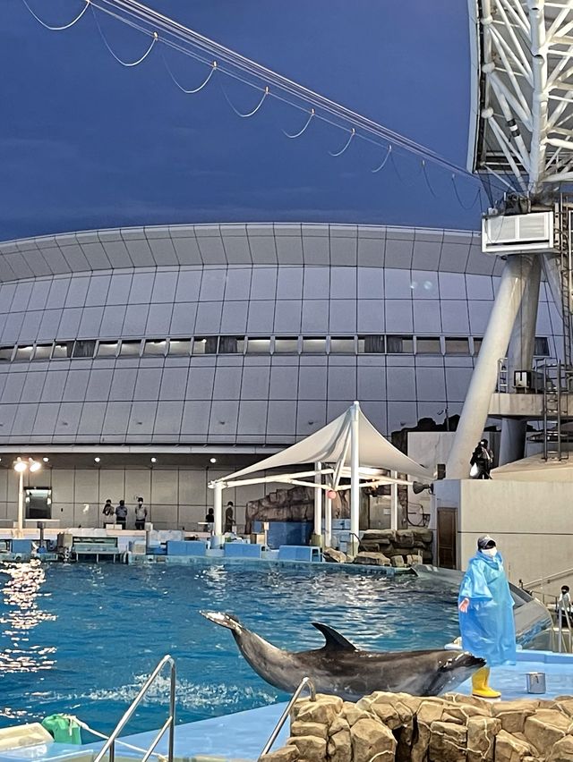 名古屋の観光名所　　名古屋港水族館