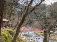 紅葉の名所、香嵐渓🍁にある【うなぎ川安】