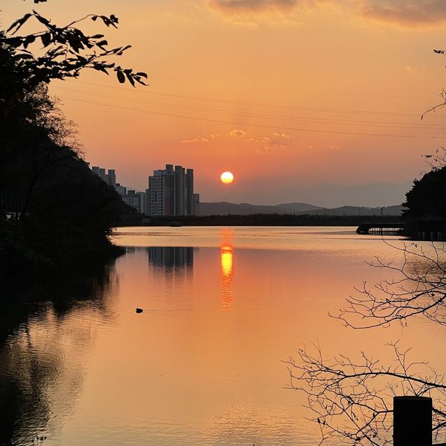 울산 북구 박상진공원