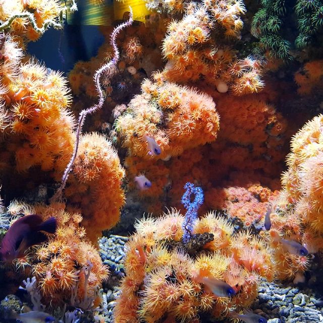 Seattle Aquarium