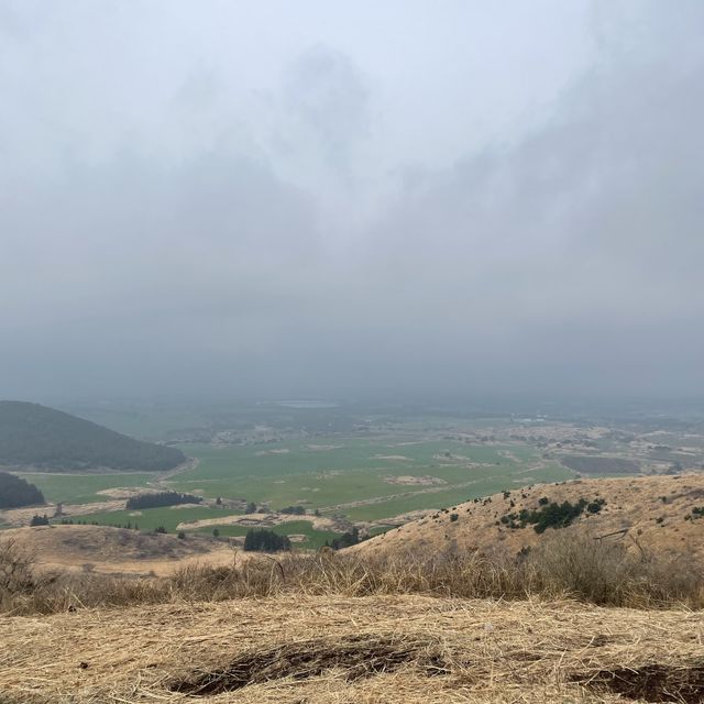 한라산뷰가 멋진 새별오름