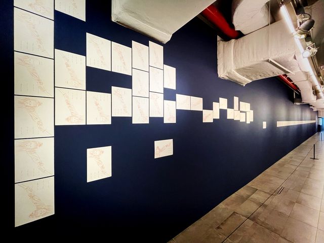 Visual arts display