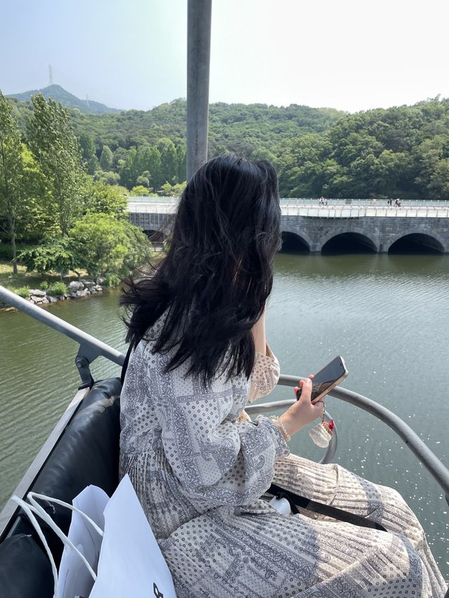 하늘에서 하는 특별한 꽃구경!
