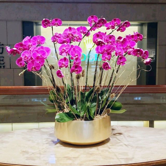帝王的花園，名符其實！