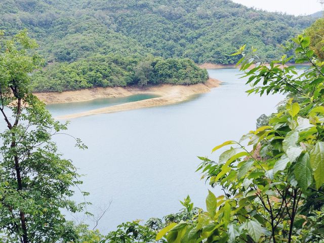 水畔千層