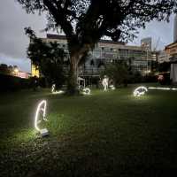 SGNIGHTFEST ✨Scenic lights Trail 
