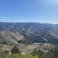 포트와인의 산지, 도우루 밸리로 떠나는 여행🇵🇹🍷