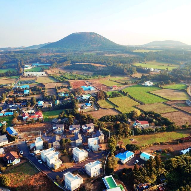 🚁 웅장한 분화구를 간직한, 아부오름 [드론뷰]