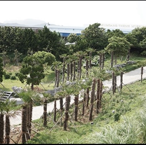 경상남도 거제도의 명물 리조트_바람의 언덕 리조트