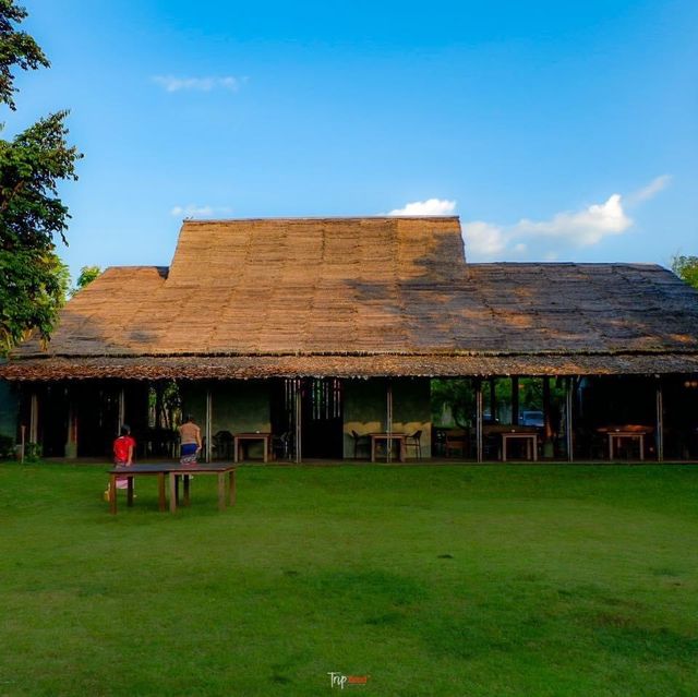 ที่พักเชียงดาว นอนชิล ฟิลธรรมชาติ