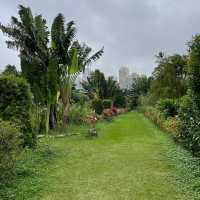 Macau Wetland of Beach Avenue,Taipa