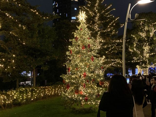 크리스마스 하면 도쿄 미드타운! 🎄
