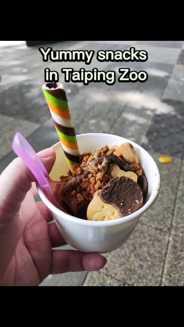 Yummy Ice Cream & Snacks in Taiping Zoo