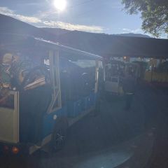 Cameron Valley Tea House 여행 사진