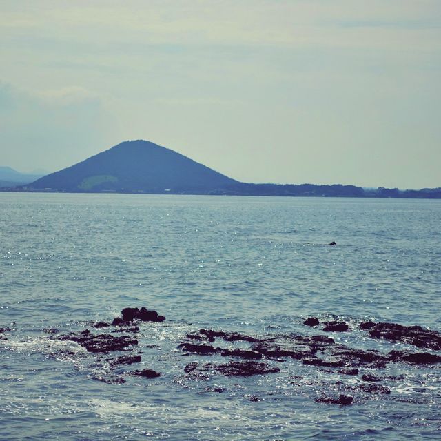 🏖 모래가 아닌 산호로 빛나는 해변, 우도 서빈백사해수욕장