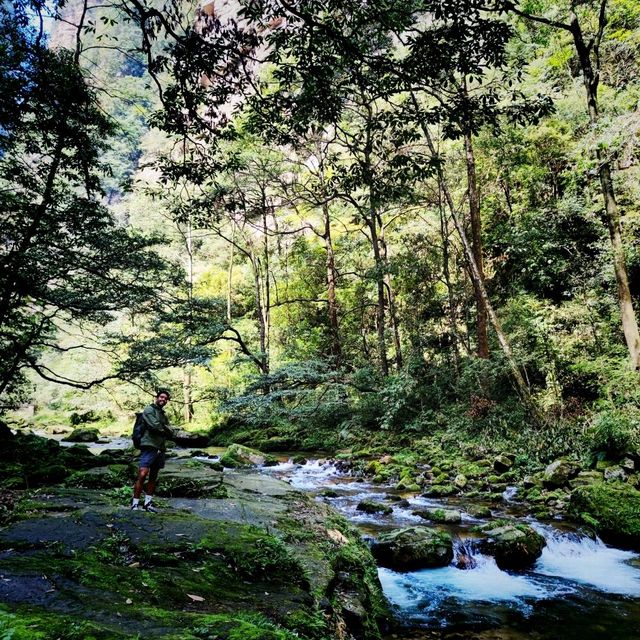 Zhangjiajie National Forest Park