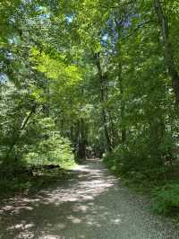 Ledges Trail Cuyahoga-Beautiful 