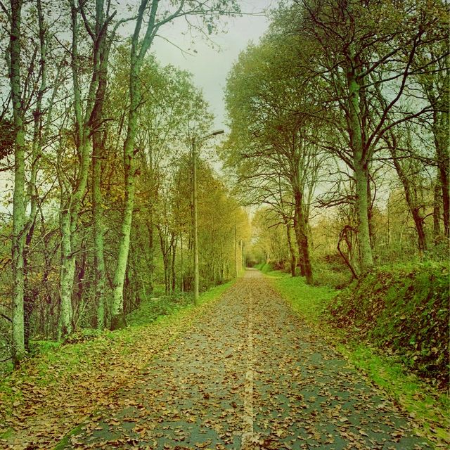 Cepães, Walk in Nature, wild life in 🇵🇹