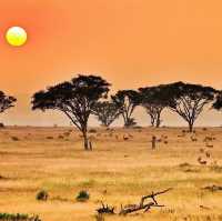 21 day Uganda safaris,wildlife and adventure 