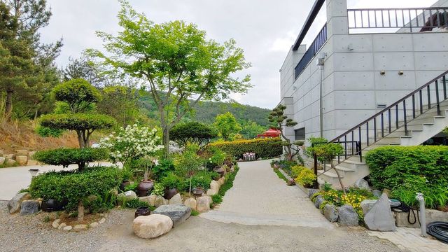 마운틴독, 경치가 아름다운 산청 애견카페