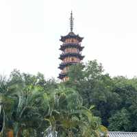 打卡深圳龍華公園